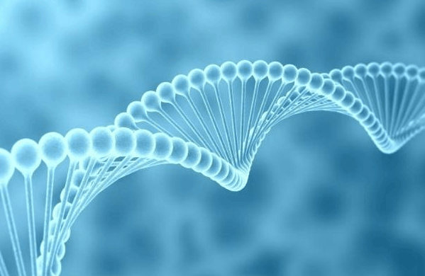 医疗器械产品注册证代办公司-人Septin 9基因甲基化检测试剂非临床研究审评要点