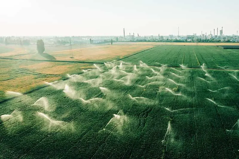 田间施药者暴露量测试试验
