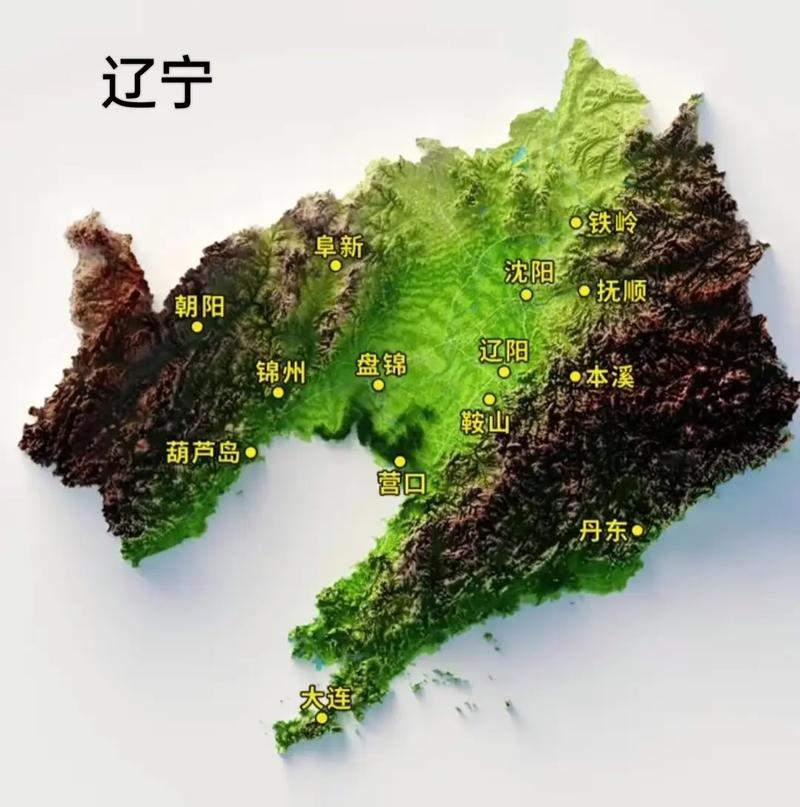 辽宁省医疗器械网络交易服务第三方平台备案办理