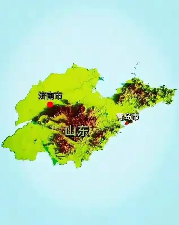 山东实验动物生产许可证办理